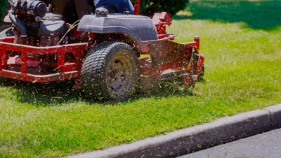 Lawn Care