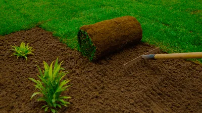 Turf Health Care